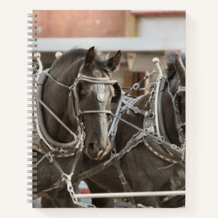 Team work notebook