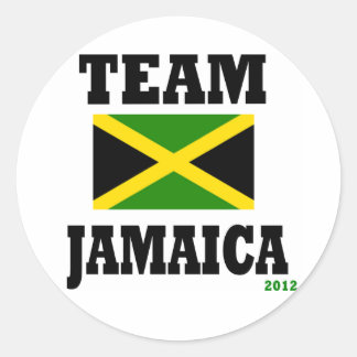 teamjam1 classic round sticker