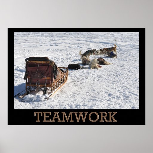 Teamwork Dog Sled Poster | Zazzle