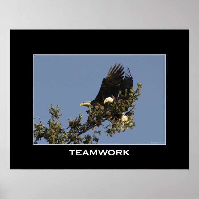 TEAMWORK Motivational Photo Poster (Front)