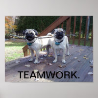 Teamwork Poster! Pugs working together!
