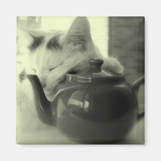 Teapot Pillow Magnet