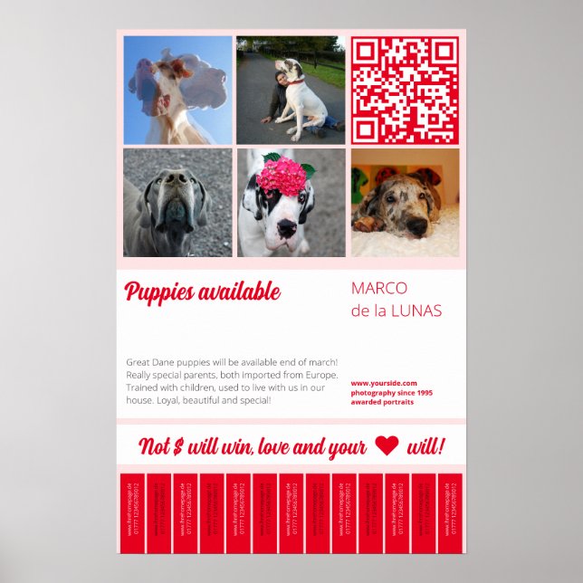 Tear off printable puppies for sale flyer template poster (Front)
