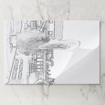 Tearaway Pad - Pélican sur la jetée de couleur