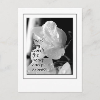 Tears Postcard