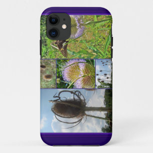 Teasel Thistle - Dipsacus fullonum iPhone 11 Case