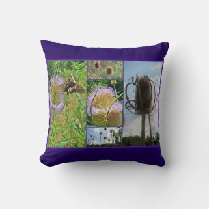 Teasel Thistle - Dipsacus fullonum Throw Pillow