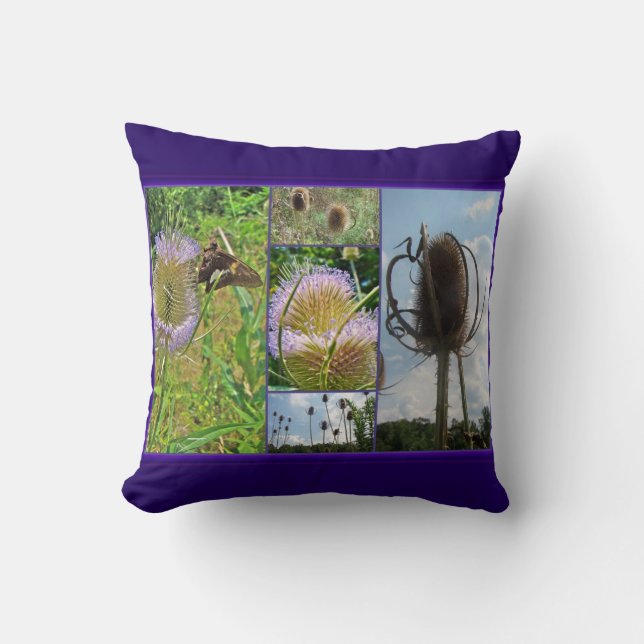 Teasel Thistle - Dipsacus fullonum Throw Pillow (Front)