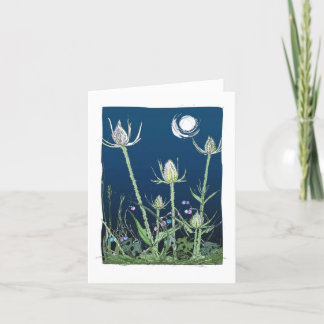 Teasels and the Moon Holiday Card