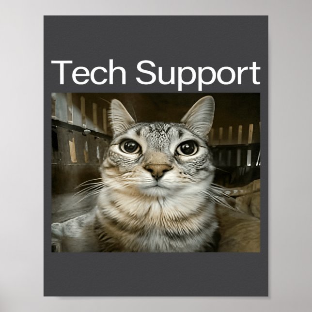 Tech Suprt Silly Staring Cat Meme Gen Alpha Humor  Poster (Front)
