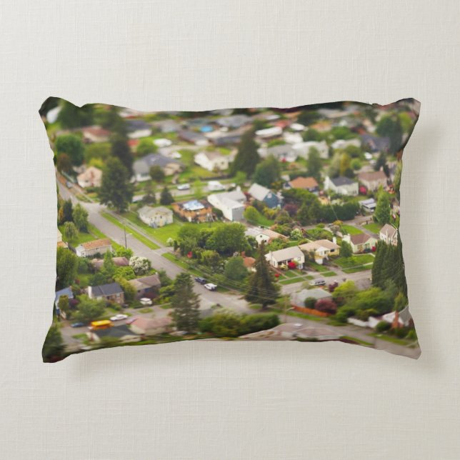 Technique #1- tilt/shift lenses decorative pillow (Front)