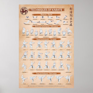 TECHNIQUES OF KARATE by Fiore Tartaglia Poster
