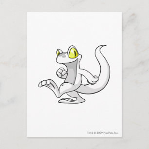 Techo White Postcard