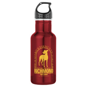 Ted Lasso   AFC Richmond Gold Arched Logo 532 Ml Water Bottle