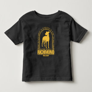 Ted Lasso   AFC Richmond Gold Arched Logo Toddler T-shirt