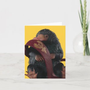 Teddy Avec Cravate Graphique