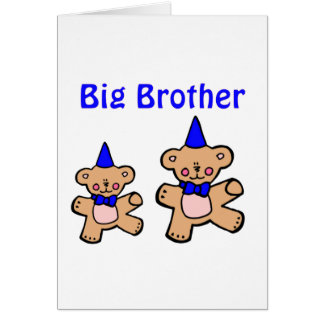 teddy bear big brother