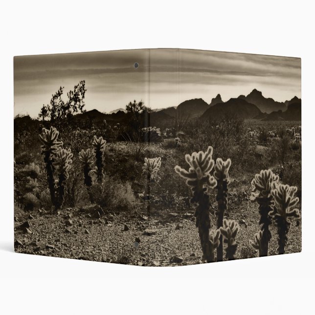 Teddy Bear Cholla Cactus Desert Plant Binder (Background)