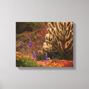 Teddy Bear Cholla Cactus Wildflowers Desert Scene Canvas Print