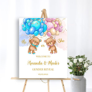 Teddy Bear Gender Reveal Welcome Sign
