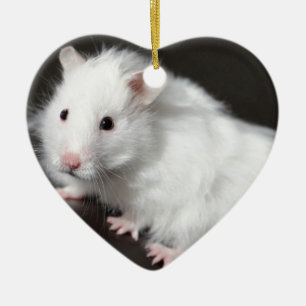 Teddy Bear Hamster Ceramic Ornament
