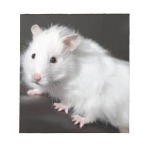 Teddy Bear Hamster Notepad