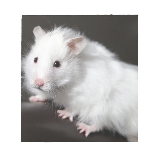 Teddy Bear Hamster Notepad (Front)