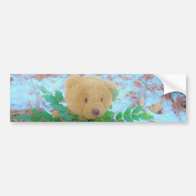 Teddy Bear in the Holly, blue sky Bumper Sticker (Front)