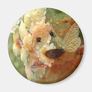 Teddy Bear Magnet