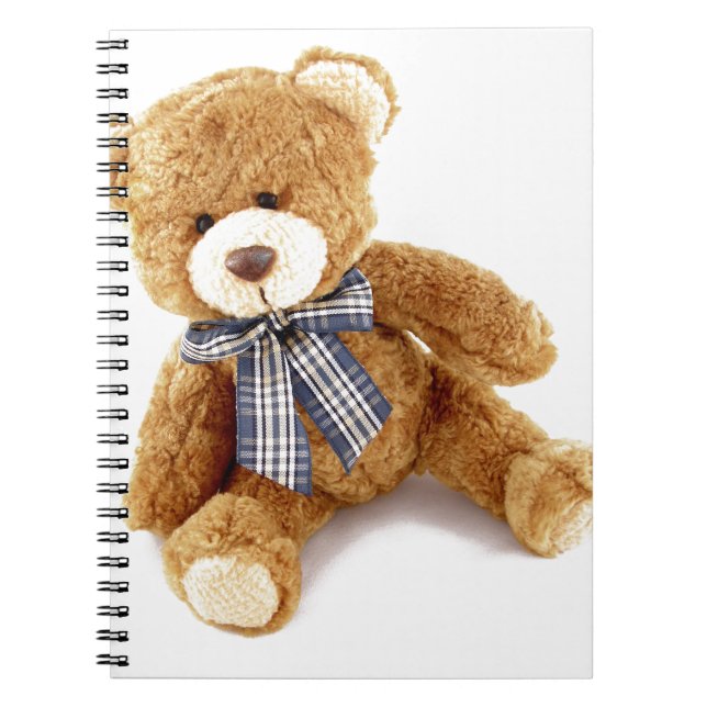 Teddy Bear Notebook (Front)