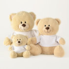 "Teddy Bear Picnic"