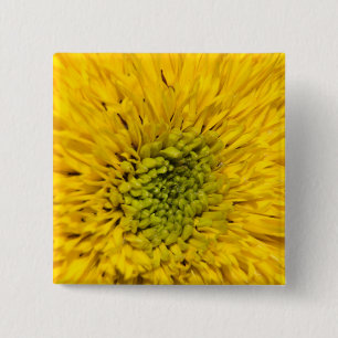 Teddy Bear Sunflower  2 Inch Square Button