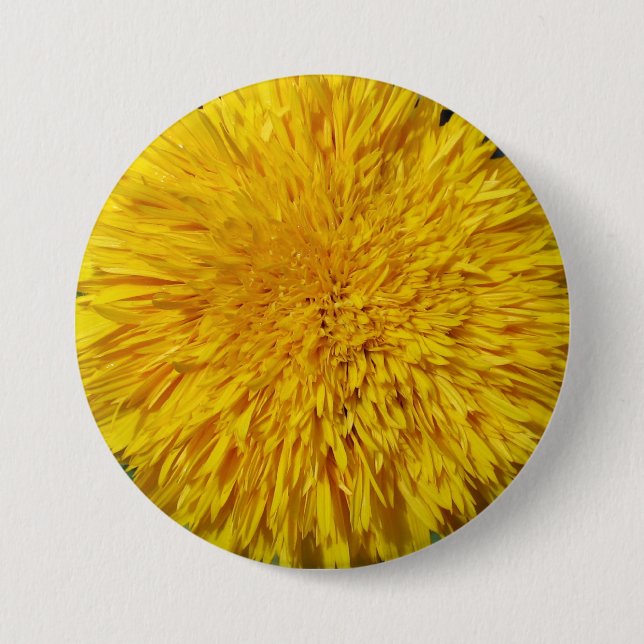 Teddy Bear Sunflower 3 Inch Round Button (Front)