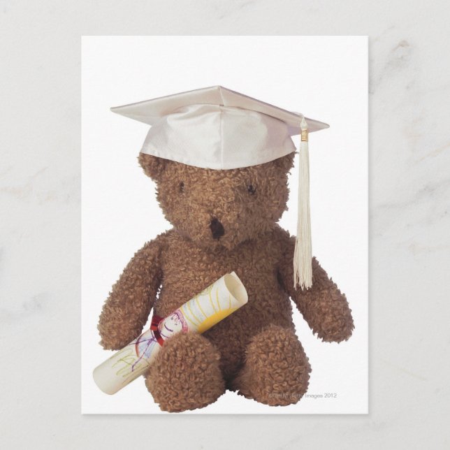 Teddy bear wearing mortarboard and with crayon postcard (Front)