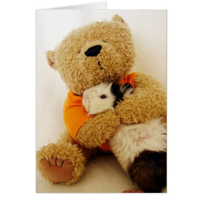 Teddy Hugs A Guinea Pig (Front)