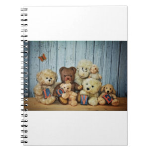 Teddy mit Freunde Notebook