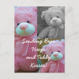 Teddy ourson serrés Carte postale