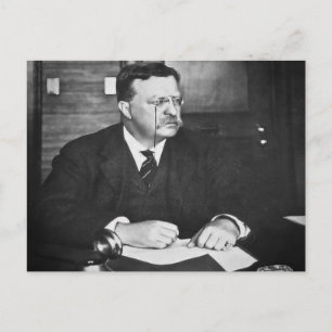 Teddy Roosevelt at Work in 1912 Postcard