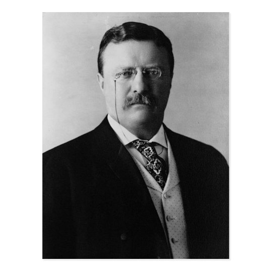 Teddy Roosevelt Postcard