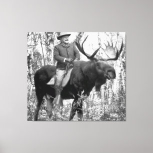 Teddy Roosevelt Riding A Bull Moose Canvas Print