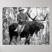 theodore roosevelt on moose