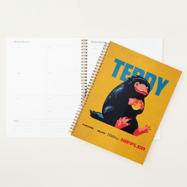Teddy Vintage Graphic (Devant avec enveloppe)