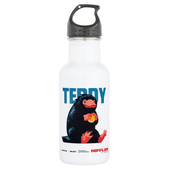 Teddy Vintage Graphic 532 Ml Water Bottle (Front)