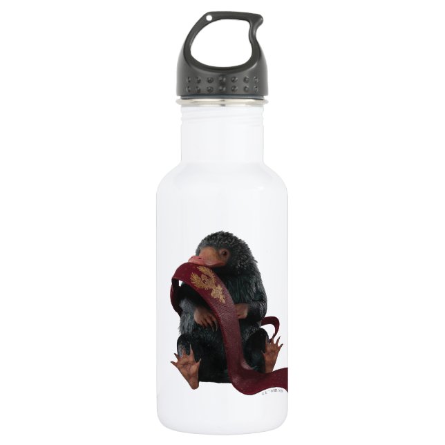 Teddy With Tie Graphic 532 Ml Water Bottle (Front)