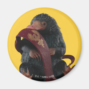 Teddy With Tie Graphic Magnet