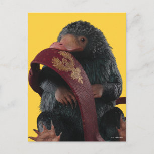 Teddy With Tie Graphic Postcard