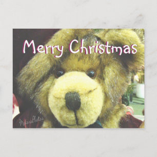 Teddybear MC-customize Holiday Postcard