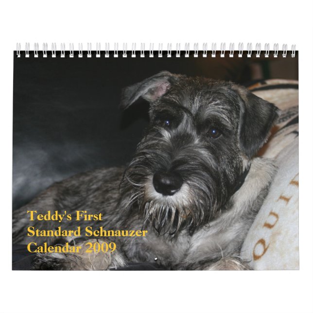 Teddy's First Standard Schnauzer Calendar 2009 (Cover)