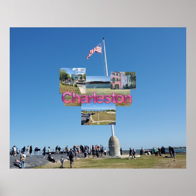 TEE Charleston Poster (Front)
