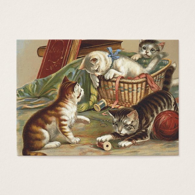 TEE Curious Cat (Front)